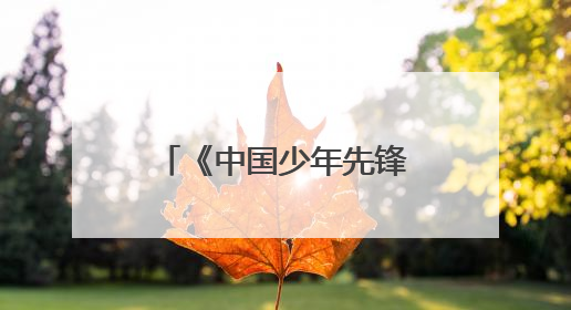 《中国少年先锋队队徽》国家标准6月1日正式实施，一图读懂