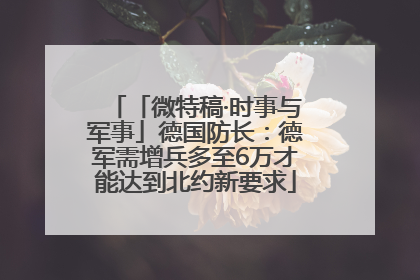 「微特稿·时事与军事」德国防长：德军需增兵多至6万才能达到北约新要求