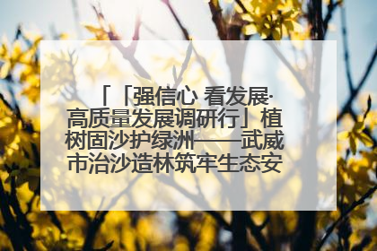 「强信心 看发展·高质量发展调研行」植树固沙护绿洲——武威市治沙造林筑牢生态安全屏障见闻