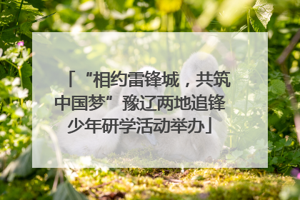 “相约雷锋城，共筑中国梦”豫辽两地追锋少年研学活动举办