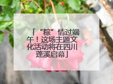“粽”情过端午！这场主题文化活动将在四川蓬溪启幕