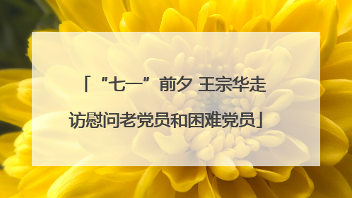 “七一”前夕 王宗华走访慰问老党员和困难党员
