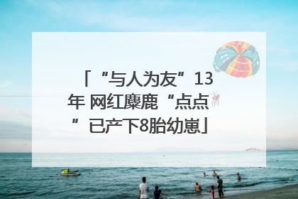 “与人为友”13年 网红麋鹿“点点”已产下8胎幼崽
