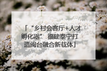 “乡村会客厅+人才孵化器” 福建泰宁打造闽台融合新载体