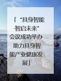 “具身智能·智启未来”会议成功举办 助力具身智能产业健康发展
