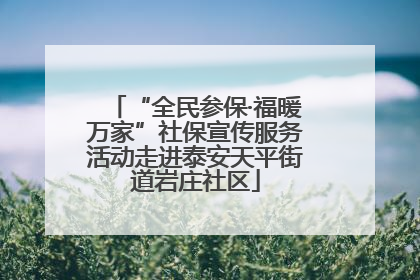 “全民参保·福暖万家”社保宣传服务活动走进泰安天平街道岩庄社区