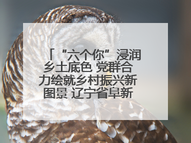 “六个你”浸润乡土底色 党群合力绘就乡村振兴新图景 辽宁省阜新市以民生温度激活乡村善治密码