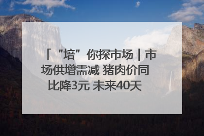 “培”你探市场｜市场供增需减 猪肉价同比降3元 未来40天便宜猪肉敞开吃