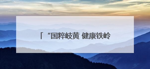 “国粹岐黄 健康铁岭”辽宁省第二届中医药文化夜市（铁岭站）启动