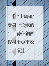 “土蛋蛋”变身“金疙瘩”：孙伯镇西程村土豆丰收记