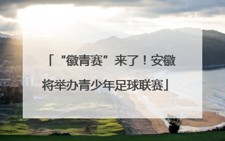 “徽青赛”来了！安徽将举办青少年足球联赛