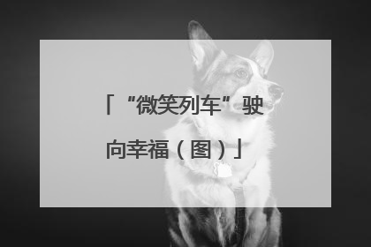 “微笑列车”驶向幸福（图）