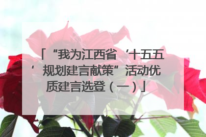“我为江西省‘十五五’规划建言献策”活动优质建言选登（一）