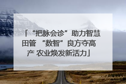 “把脉会诊”助力智慧田管 “数智”良方夺高产 农业焕发新活力