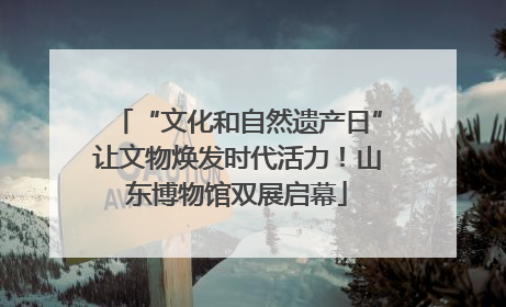 “文化和自然遗产日”让文物焕发时代活力！山东博物馆双展启幕