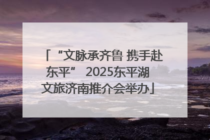 “文脉承齐鲁 携手赴东平” 2025东平湖文旅济南推介会举办