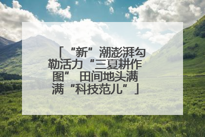 “新”潮澎湃勾勒活力“三夏耕作图” 田间地头满满“科技范儿”