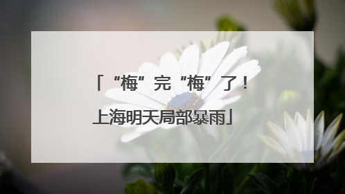 “梅”完“梅”了！上海明天局部暴雨