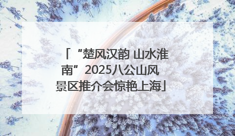 “楚风汉韵 山水淮南”2025八公山风景区推介会惊艳上海