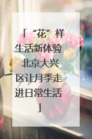 “花”样生活新体验 北京大兴区让月季走进日常生活