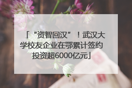 “资智回汉”！武汉大学校友企业在鄂累计签约投资超6000亿元