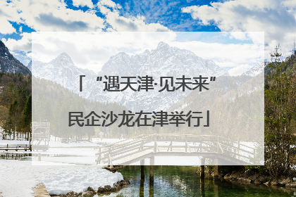“遇天津·见未来”民企沙龙在津举行