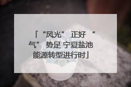 “风光” 正好 “气” 势足 宁夏盐池能源转型进行时