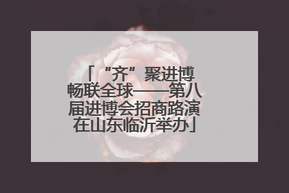 “齐”聚进博 畅联全球——第八届进博会招商路演在山东临沂举办