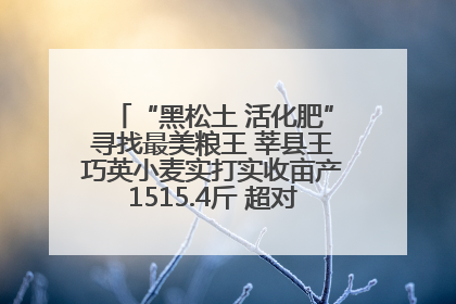 “黑松土 活化肥”寻找最美粮王 莘县王巧英小麦实打实收亩产1515.4斤 超对照田144斤！