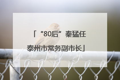 “80后”秦猛任泰州市常务副市长
