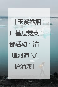 玉溪卷烟厂基层党支部活动：清理河道 守护清溪