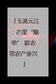 玉溪元江：芒果“爆单” 联农带农产业兴