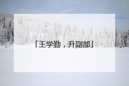 王学勤，升副部