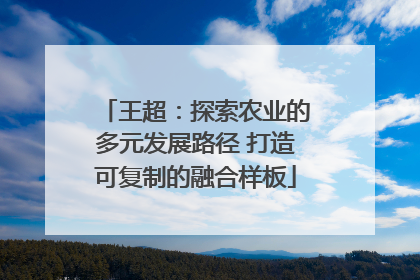 王超：探索农业的多元发展路径 打造可复制的融合样板