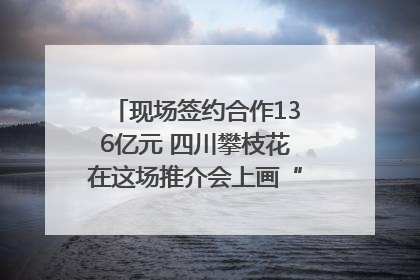 现场签约合作136亿元 四川攀枝花在这场推介会上画“图谱”列“清单”