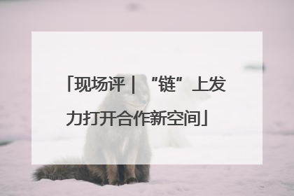现场评｜“链”上发力打开合作新空间