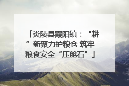 炎陵县霞阳镇：“耕”新聚力护粮仓 筑牢粮食安全“压舱石”