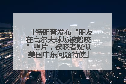 特朗普发布“朋友在高尔夫球场被鹅咬”照片，被咬者疑似美国中东问题特使