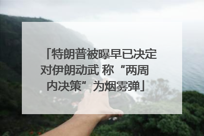 特朗普被曝早已决定对伊朗动武 称“两周内决策”为烟雾弹