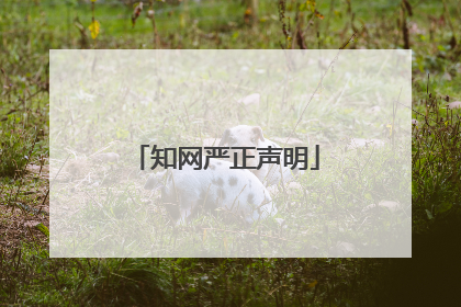 知网严正声明