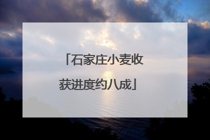 石家庄小麦收获进度约八成