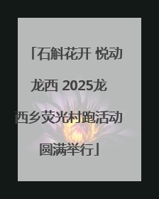 石斛花开 悦动龙西 2025龙西乡荧光村跑活动圆满举行