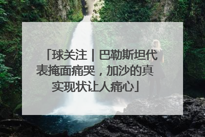 球关注｜巴勒斯坦代表掩面痛哭，加沙的真实现状让人痛心