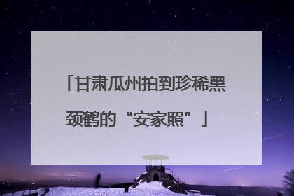 甘肃瓜州拍到珍稀黑颈鹤的“安家照”