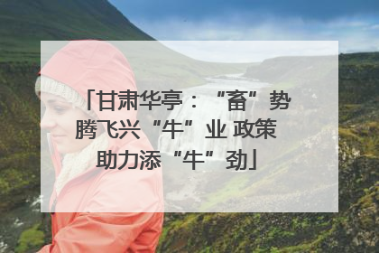 甘肃华亭：“畜”势腾飞兴“牛”业 政策助力添“牛”劲