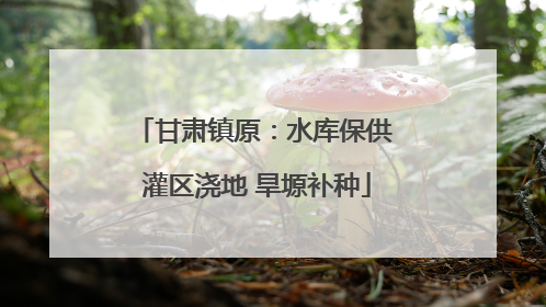 甘肃镇原：水库保供 灌区浇地 旱塬补种