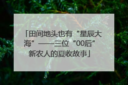 田间地头也有“星辰大海”——三位“00后”新农人的夏收故事