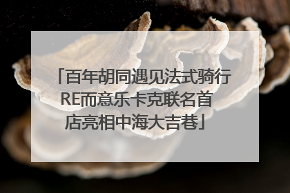 百年胡同遇见法式骑行 RE而意乐卡克联名首店亮相中海大吉巷
