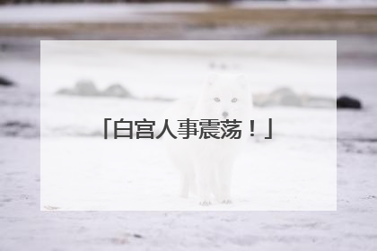 白宫人事震荡！