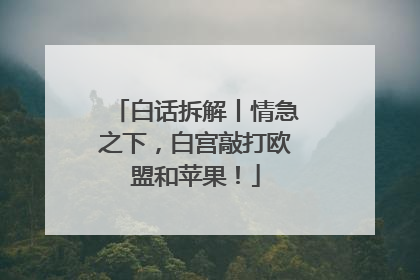 白话拆解丨情急之下，白宫敲打欧盟和苹果！